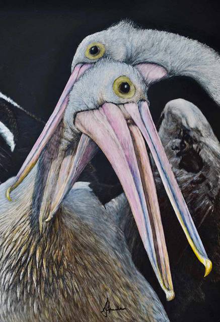 Caldera Wildscapes Gallery - Attractions Sydney 1