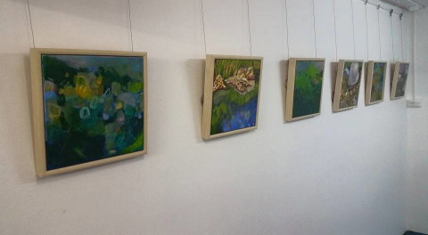 Art Arena Gallery Inc - Attractions Sydney 2