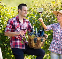 Two Tails Wines - Attractions Sydney
