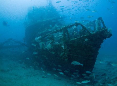 Kirra Dive “On The Tweed” - Attractions Sydney 4