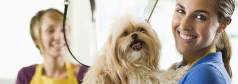 Port Stephens Pet Barn - Attractions Sydney 1