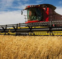 Quirindi Grain and produce - Attractions Sydney