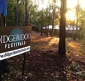 Didgeridoo Jam in the Park - Attractions Sydney