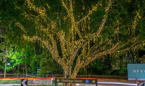 The Sunshine Coast Tour Company - Attractions Sydney 3