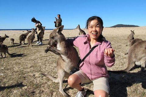 Batemans Bay Full-Day Tour From Canberra Including Indigenous Experience - Attractions Sydney 0