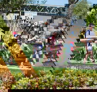 Australian Institute of Sport The AIS Tour - Attractions Sydney