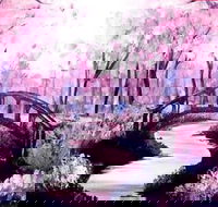 Pink Forest - Boardwalk Bar 4.00-6.00pm - Attractions Sydney