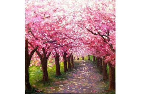Blossom Lane - Boardwalk Bar 4.00-6.00pm - Attractions Sydney 0