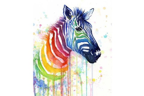 Rainbow Zebra - 65 Northbourne 7.30-9.30pm - Attractions Sydney 0