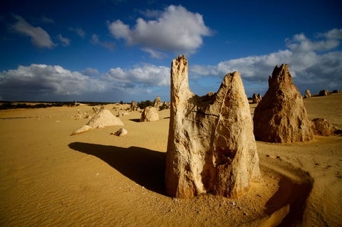 Pinnacles Desert, Koalas And Sandboarding 4WD Day Tour From Perth - Attractions Sydney 6