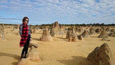 Pinnacles Desert, Koalas And Sandboarding 4WD Day Tour From Perth - Attractions Sydney 13