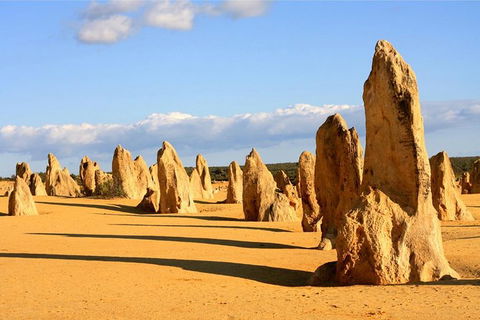 Pinnacles And Yanchep National Park Day Trip From Perth Including Lobster Shack Lunch And Sandboarding - Attractions Sydney 0