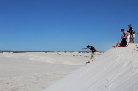 Pinnacles And Yanchep National Park Day Trip From Perth Including Lobster Shack Lunch And Sandboarding - Attractions Sydney 4