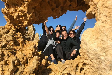 Pinnacles And Yanchep National Park Day Trip From Perth Including Lobster Shack Lunch And Sandboarding - Attractions Sydney 5