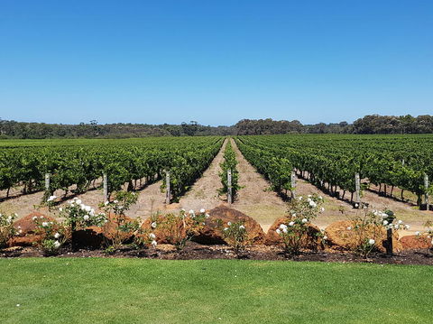 Margaret River Food, Wine & Sightseeing Tour From Perth - Attractions Sydney 5