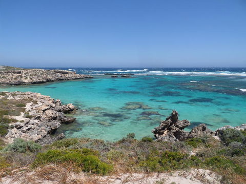 Rottnest Island Tour From Perth Or Fremantle Including Adventure Speed Boat Ride - Attractions Sydney 3