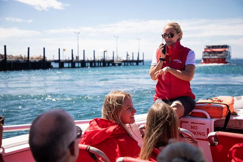 Rottnest Island Tour From Perth Or Fremantle Including Adventure Speed Boat Ride - Attractions Sydney 0