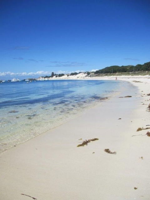 Rottnest Island Tour From Perth Or Fremantle Including Adventure Speed Boat Ride - Attractions Sydney 4