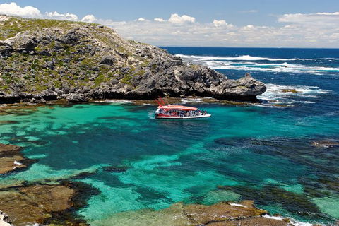 Rottnest Island Tour From Perth Or Fremantle Including Adventure Speed Boat Ride - Attractions Sydney 10