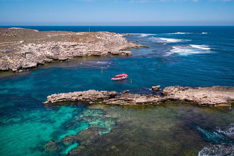 Rottnest Island Tour From Perth Or Fremantle Including Adventure Speed Boat Ride - Attractions Sydney 13