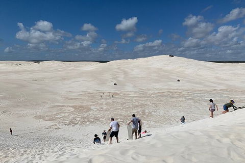 Pinnacles Day Trip From Perth Including Yanchep National Park - Attractions Sydney 3