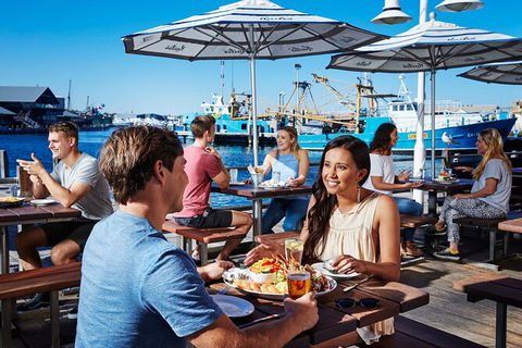 Full-Day Penguin Island & Fremantle Town - Attractions Sydney 7
