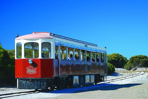 Rottnest Island Grand Tour Including Lunch And Historical Train Ride - Attractions Sydney 6