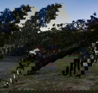 Stargazing Busselton with Mobile Observatory - Attractions Sydney