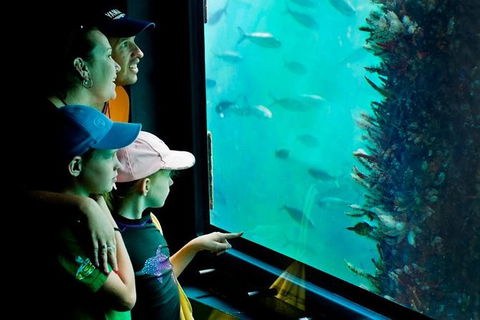 2-hour Busselton Jetty Package: Jetty Train And Underwater Observatory - Attractions Sydney 1