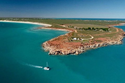 Snubfin Dolphin Eco Cruise From Broome - Attractions Sydney 7