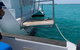 Snubfin Dolphin Eco Cruise From Broome - thumb 15