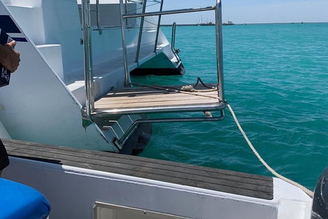 Snubfin Dolphin Eco Cruise From Broome - Attractions Sydney 15