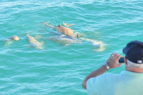 Snubfin Dolphin Eco Cruise From Broome - Attractions Sydney 3