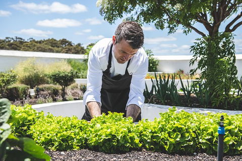 Voyager Estate: Private Winery Tasting Tour In Margaret River With Lunch - Attractions Sydney 8