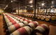 Cape Mentelle Behind The Scenes Tour With Food & Wine Pairing - thumb 1
