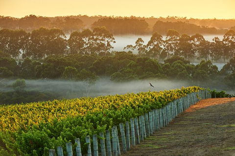 Cape Mentelle Behind The Scenes Tour With Food & Wine Pairing - Attractions Sydney 3