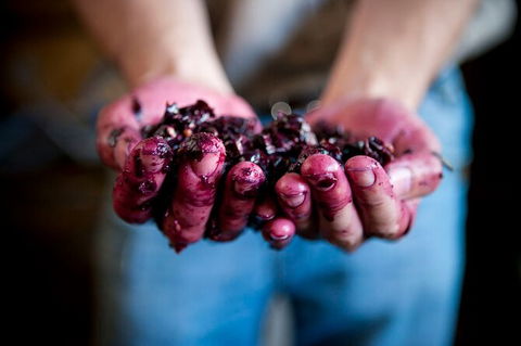 Cape Mentelle Behind The Scenes Tour With Food & Wine Pairing - Attractions Sydney 7