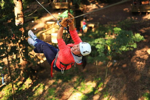 Trees Adventure Lane Poole Park - Treetop & Zipline Experience - Attractions Sydney 0