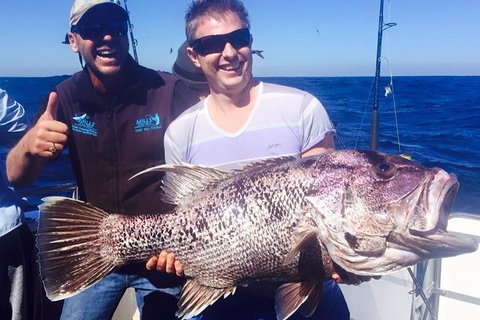Deep Sea Fishing Charter From Perth - Attractions Sydney 0