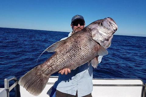 Deep Sea Fishing Charter From Perth - Attractions Sydney 2