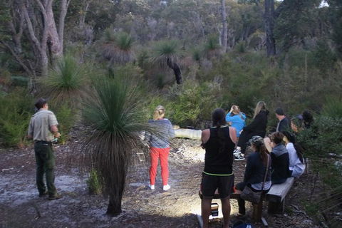 Nocturnal Wildlife Tour From Busselton Or Dunsborough - Attractions Sydney 5