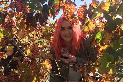 Swan Valley Winery Experience - Full Day Coach Tour - Attractions Sydney 0