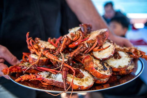 Mandurah Wild Seafood Adventure Cruise - Attractions Sydney 1