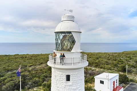 Cape Naturaliste Lighthouse Fully-guided Tour - Attractions Sydney 5
