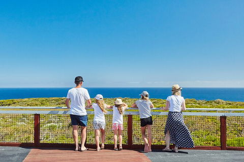 Cape Naturaliste Lighthouse Fully-guided Tour - Attractions Sydney 3