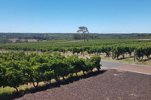Full Day Winery And Brewery Tour In A Classic Silver Spirit Rolls Royce - Attractions Sydney 5