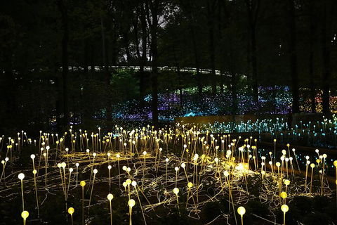 National Anzac Centre Field Of Light Panorama Pass - Attractions Sydney 0