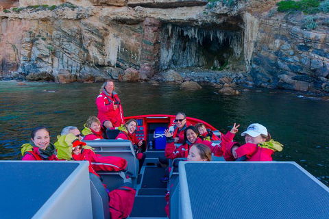 Dunsborough Jet Boat Sea Safari Along Cape Naturaliste Coast - Attractions Sydney 0