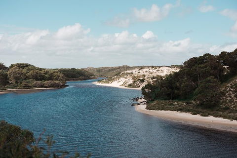 Yanchep & Lancelin - Wildlife, Cave And Sands - Attractions Sydney 6