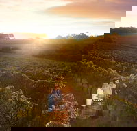 Leeuwin Estate Food and Wine Experience - Attractions Sydney